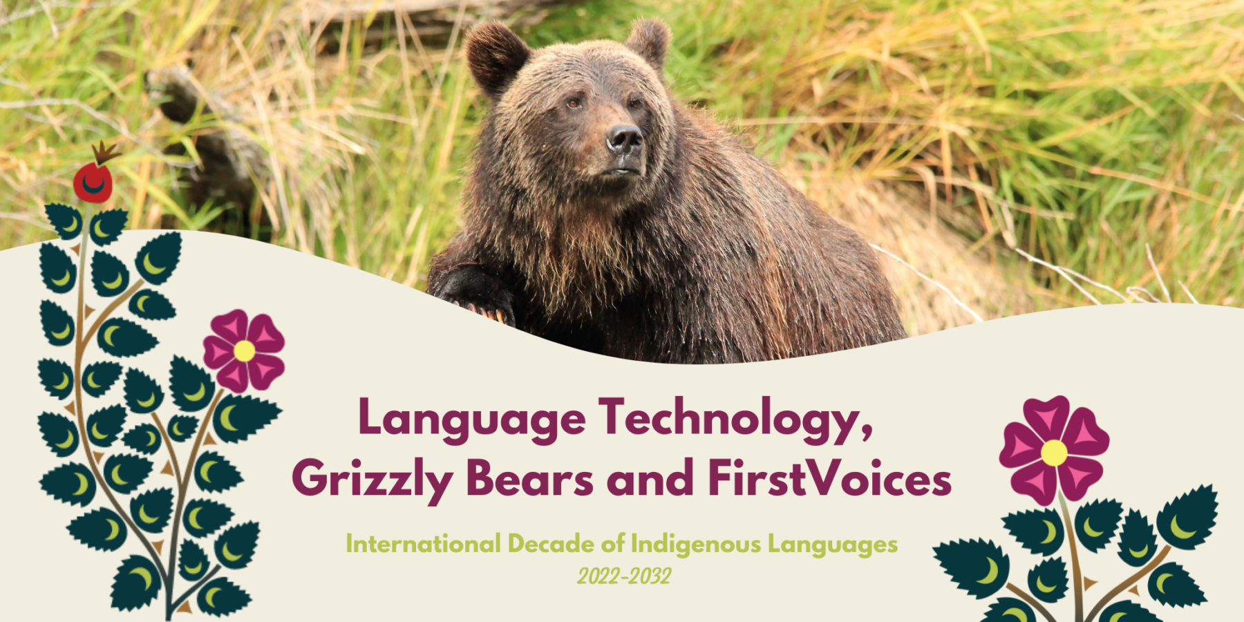 St̓át̓imc Grizzly Bear featured for story on FirstVoices