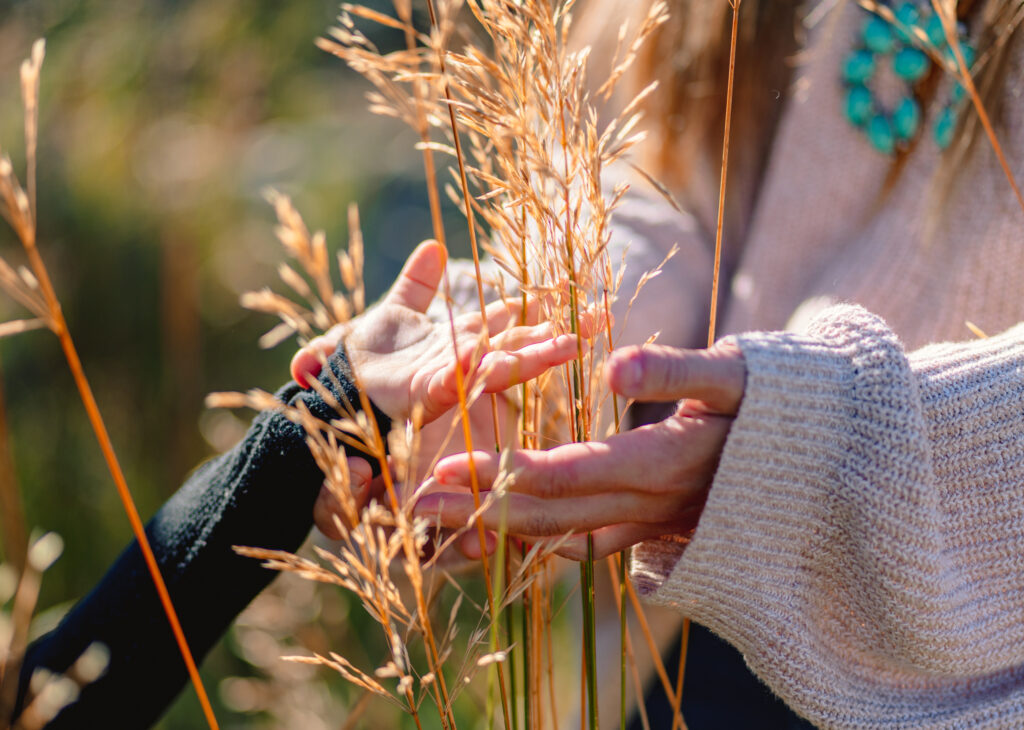 Image of an adults hands embracing a child's hand in a field of wheat