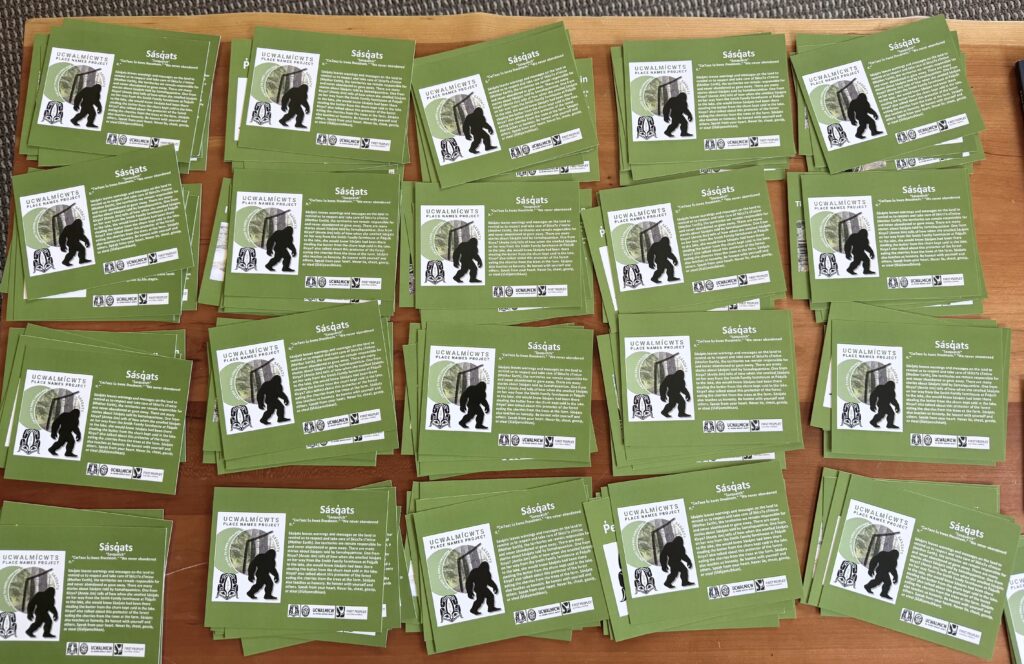 Green postcards are spread out in piles on a table